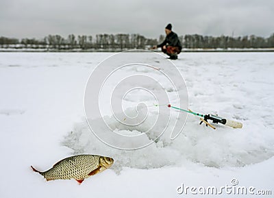 Winter fishing, caught roach lying next to the hole in the background fisherman bent over the hole Stock Photo