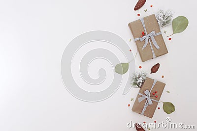 Winter flat lay with natural branches. leaves and presents on light background Stock Photo
