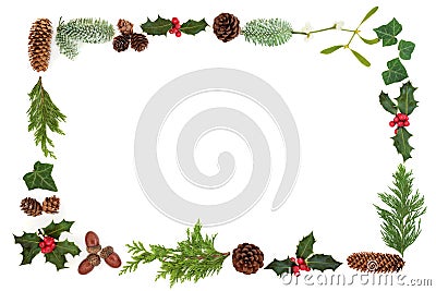 Winter Flora Background Border Stock Photo