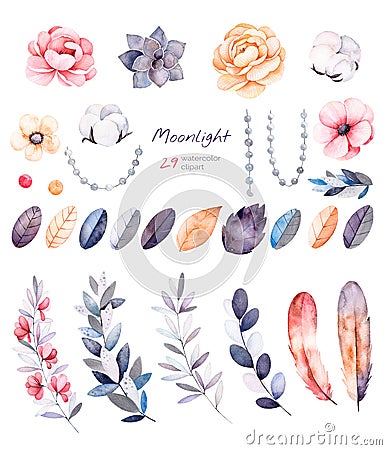 Winter floral collection with 29 watercolor elements. Stock Photo