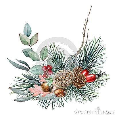 Winter floral natural arrangement watercolor illustration. Hand drawn rustic decor with pine, eucalyptus leaves, acorn. Cartoon Illustration