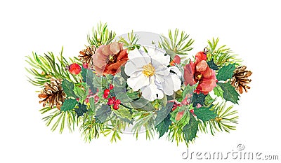 Winter flowers, fir tree, christmas mistletoe. Watercolor Stock Photo
