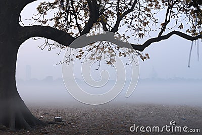 Winter fogg in open ground . Stock Photo