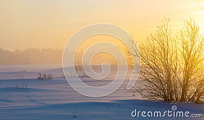 Winter foggy landscape. Stock Photo