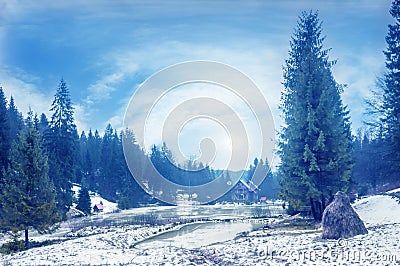 Winter forest in the Carpathians. Lake Vito Stock Photo