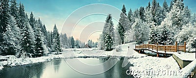 Winter forest in the Carpathians. Lake Vito Stock Photo