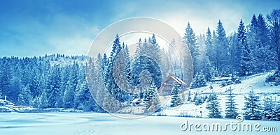 Winter forest in the Carpathians. Lake Vito Stock Photo