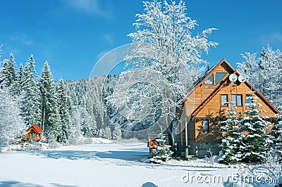 Winter forest in the Carpathians. Lake Vito Stock Photo