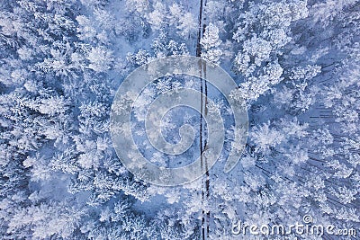 Winter forest covered in thick snow. Aerial landscape Stock Photo