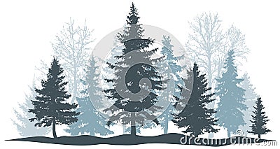 Winter forest evergreen pine, tree isolated. Park Christmas tree. Individual, separate objects. Vector illustration Vector Illustration