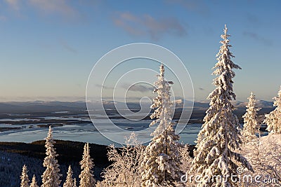 Winter forest landscape, Kola Peninsula, Russia Stock Photo