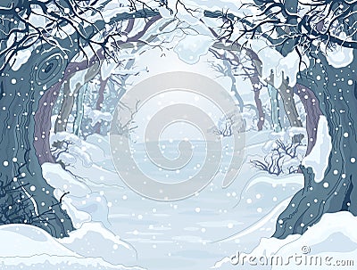 Winter Forest Vector Illustration