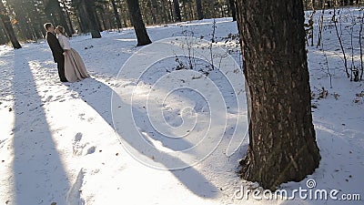 In the winter forest, a long shadow from the sun falls from the couple. stock video In the winter forest, a long shadow from the sun falls from the couple. stock video