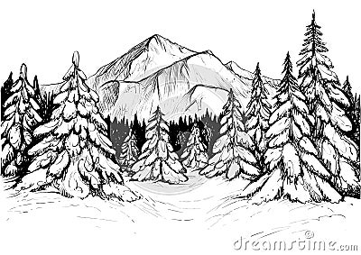 Winter forest in mountains, sketch. Vector hand drawn illustration Vector Illustration