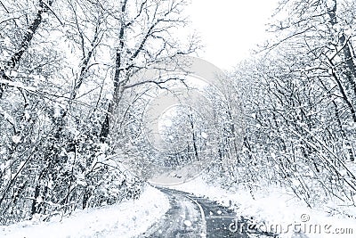 Winter forest snow road. Forest road winter snow view Stock Photo