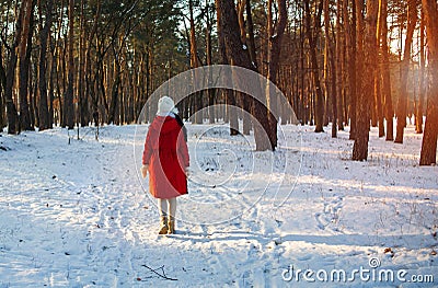 Winter forest walk woman hiking in snow with tall boots walking outdoors amongst trees. Stock Photo