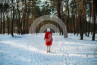 Winter forest walk woman hiking in snow with tall boots walking outdoors amongst trees. Stock Photo