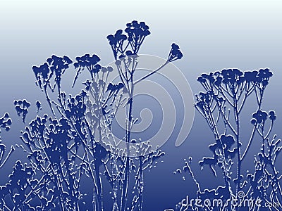 Winter frosted plants Stock Photo