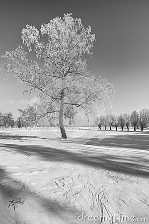 Winter, frosty landscape of Podlasie, Stock Photo