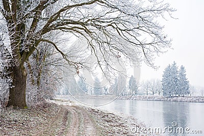 Winter frozen landscape Stock Photo