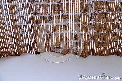 Winter garden landscape with thatched garden fence Stock Photo