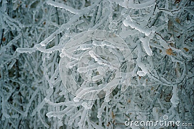 Winter graphics Stock Photo