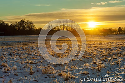 Winter grasses at sunrise Stock Photo