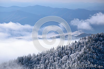 Winter, Great Smoky Mountains Stock Photo