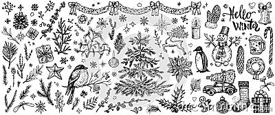 Winter hand drawn sketches. Vector vintage Christmas plants and symbols. Vector Illustration