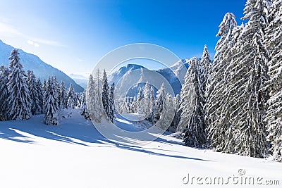 Winter has shortest days, longest nights and lowest temperatures than all other seasons . Stock Photo