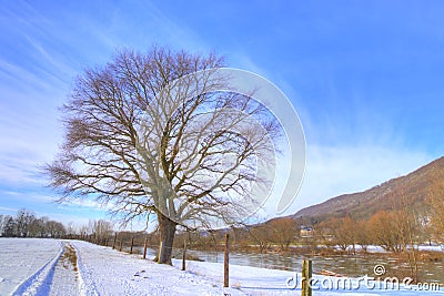 Winter has shortest days, longest nights and lowest temperatures than all other seasons . Stock Photo
