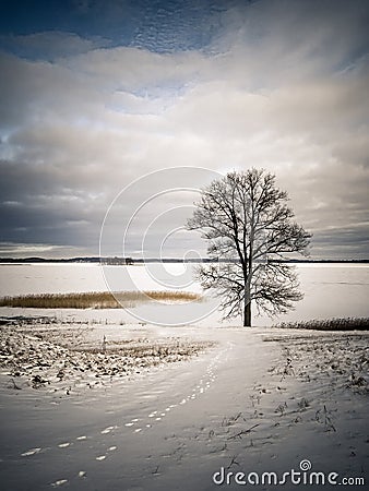 Winter has shortest days, longest nights and lowest temperatures than all other seasons . Stock Photo