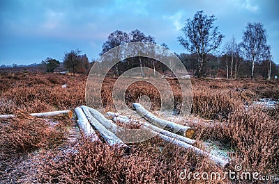 Winter heathland Stock Photo