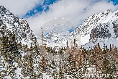 Winter in High Tatras Mountains. Stock Photo