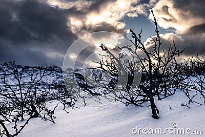 Winter hike on the Lofoten Islands Stock Photo