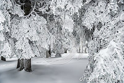 Winter hike Stock Photo