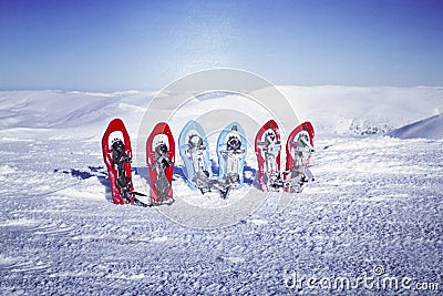 Winter hiking. Stock Photo