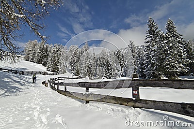 Winter Hiking trail, after a Snowfall Stock Photo