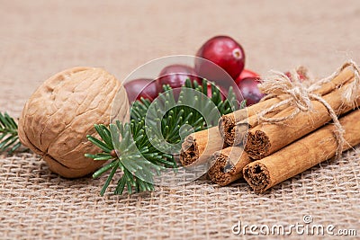 Winter holiday decoration: fraser fir twig, cinnamon sticks, walnut and cranberries on burlap Stock Photo