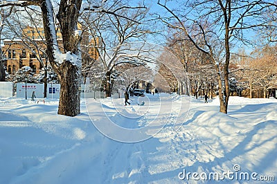 Winter in Japan. Editorial Stock Photo