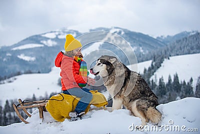 Winter knitted kids clothes. Boy sledding in a snowy forest with siberian husky dog. Outdoor winter fun for Christmas Stock Photo