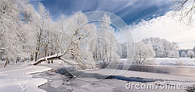 Winter Lace: Realistic Panoramic Christmas Landscape In White Tones With Icy River, Surrounded By Whitetail Trees And Deep Blue Sk Stock Photo