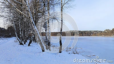 In winter, the lake is covered with ice. Along the shore there are birch trees and a path with footprints in the snow. On the oppo Stock Photo