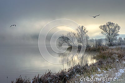 Winter lake with flying birds Stock Photo