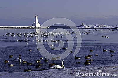 Winter - Lake Ontario Stock Photo