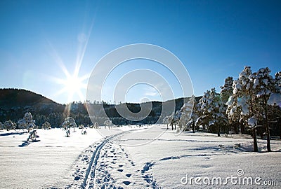 Winter landscape Stock Photo