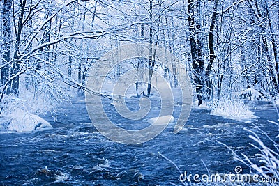 Winter Landscape Stock Photo