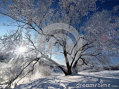 Winter landscape Stock Photo