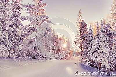 Winter landscape Stock Photo