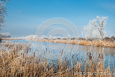 Winter landscape Stock Photo